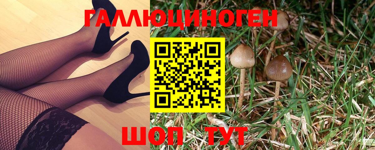 Пушкино  Галлюциногенные грибы Psilocybine cubensis  Псилоцибиновые грибы Psilocybe  Вход с VPN 