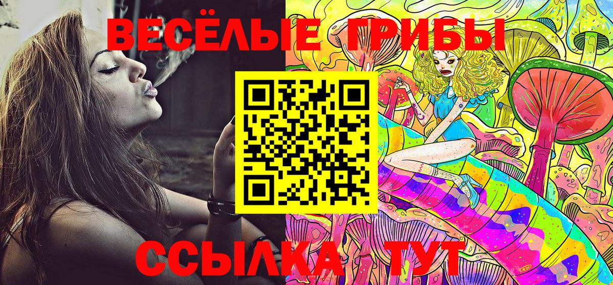 Галлюциногенные грибы прущие грибы Пушкино